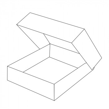 Cateringbox aus Karton, Medium, 460 x 310 x 80 mm