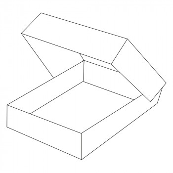 Cateringbox aus Karton, Large, 550 x 375 x 80 mm 